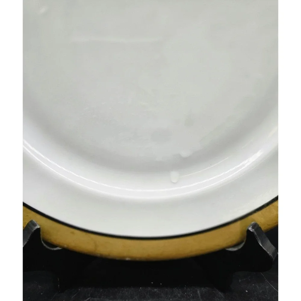 Set/2 Antique Wilhelm & Decsenyi German Porcelain Dinner Plate 9.5